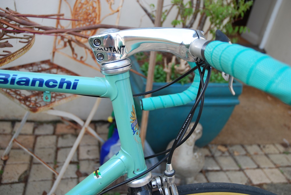 bianchi-26.JPG