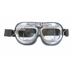 Flying Goggles
